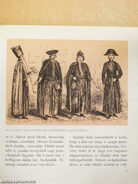 A bagolyvár és lakói