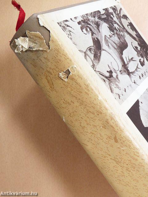 Kincses Magyarország