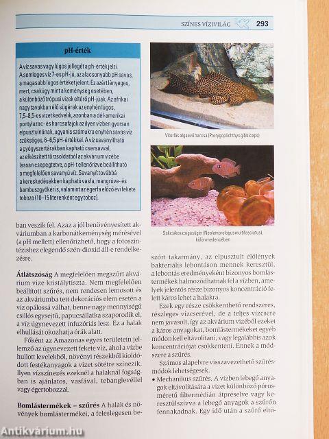 A család állatorvosa