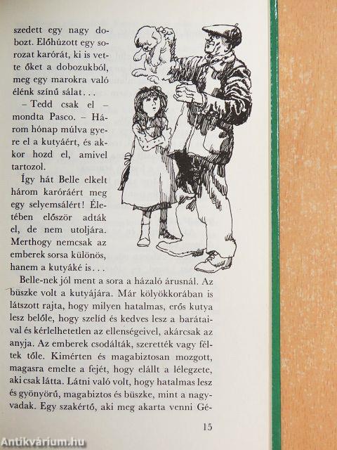 Belle és Sébastien