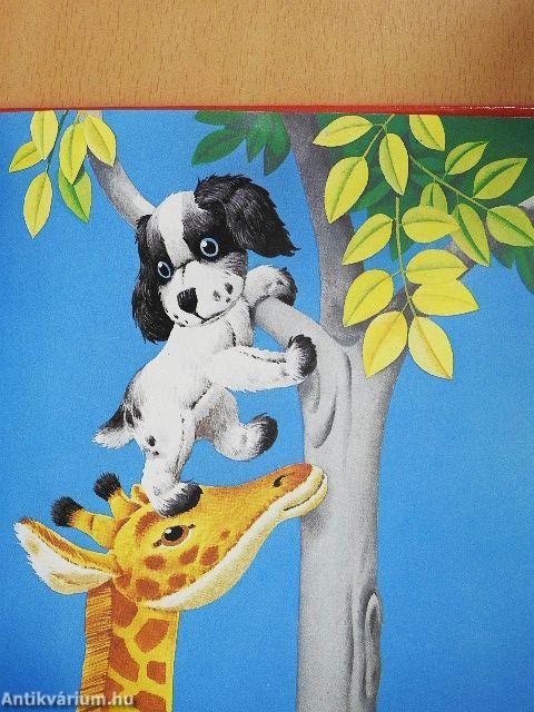 Tappancs Tódor győzni akar