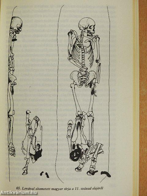 "25 kötet a Magyar História sorozatból (nem teljes sorozat)"