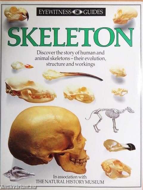 Skeleton
