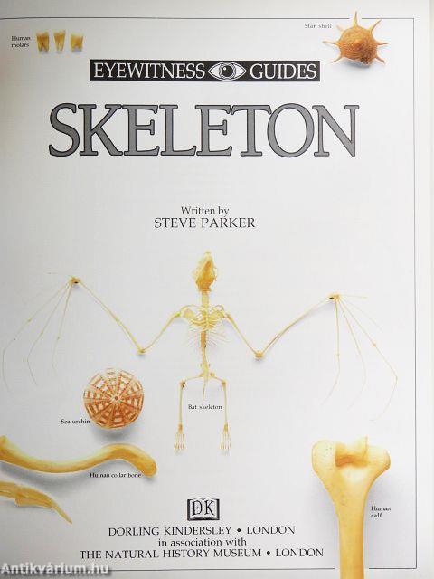Skeleton