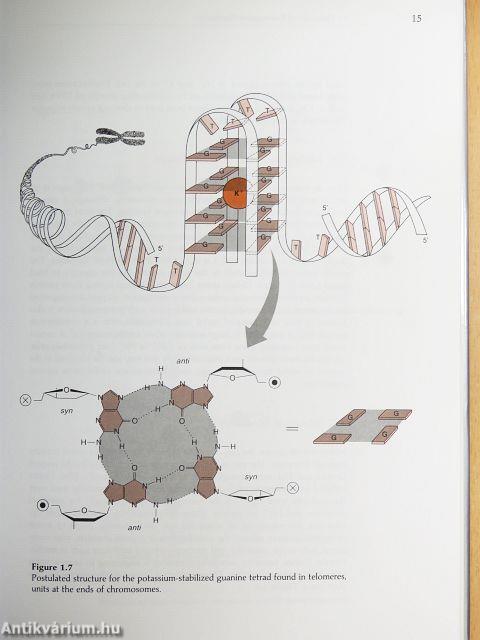 Principles of Bioinorganic Chemistry