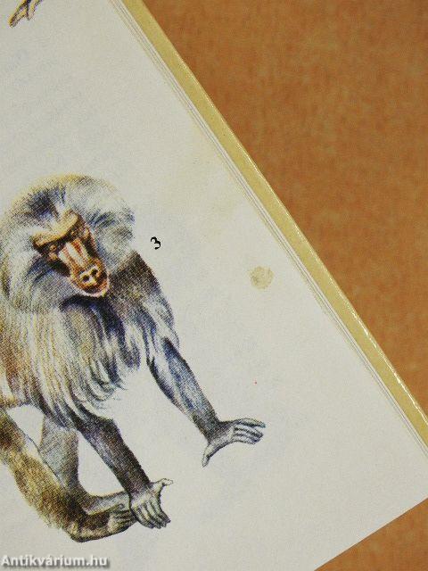 "20 kötet a Búvár zsebkönyvek sorozatból (nem teljes sorozat)"