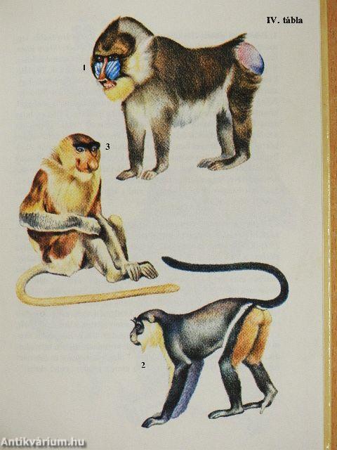 "20 kötet a Búvár zsebkönyvek sorozatból (nem teljes sorozat)"