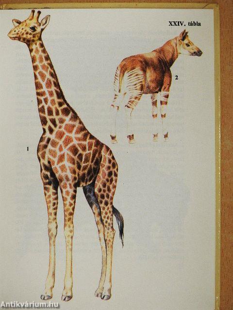 "20 kötet a Búvár zsebkönyvek sorozatból (nem teljes sorozat)"