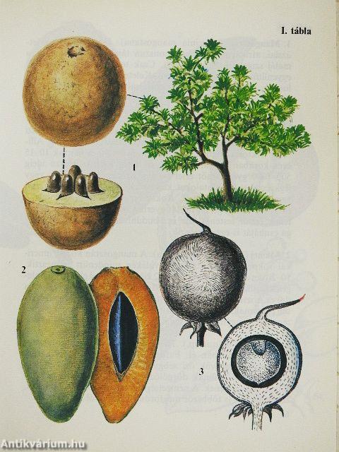 "20 kötet a Búvár zsebkönyvek sorozatból (nem teljes sorozat)"