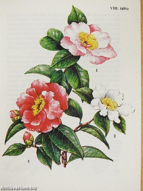 "20 kötet a Búvár zsebkönyvek sorozatból (nem teljes sorozat)"