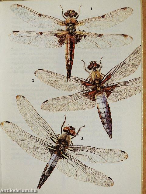 "20 kötet a Búvár zsebkönyvek sorozatból (nem teljes sorozat)"