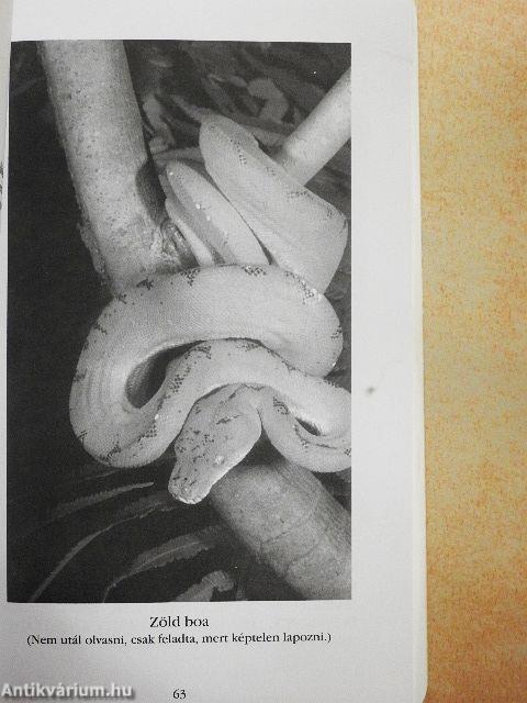 Könyv azoknak, akik utálnak olvasni