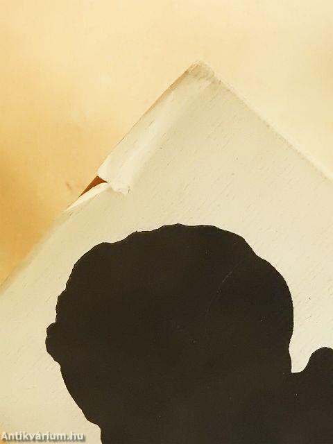 Beszélgetések Goethével