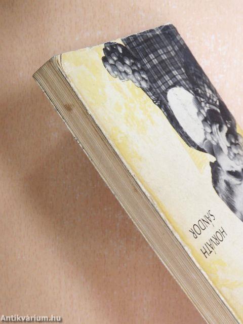 Szőlő a házikertben