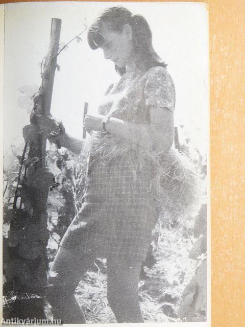 Szőlő a házikertben