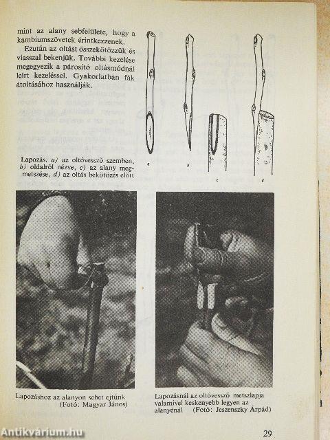 Oltás, szemzés, dugványozás