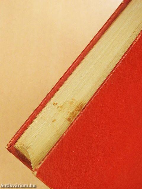 Szerelem és halál Báli szigetén