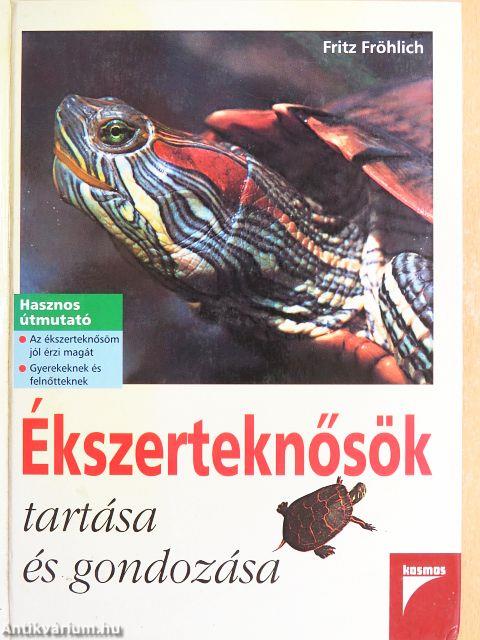 Ékszerteknősök tartása és gondozása