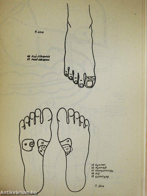 Egészség a jövőben