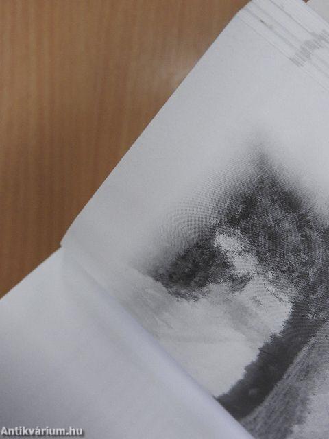 Élet az élet után 2.