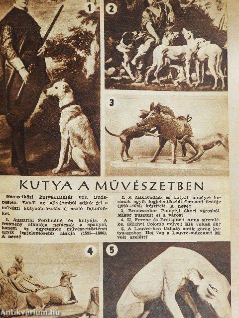 Füles 1963. július-december (fél évfolyam)