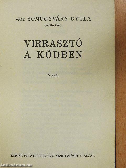 Virrasztó a ködben