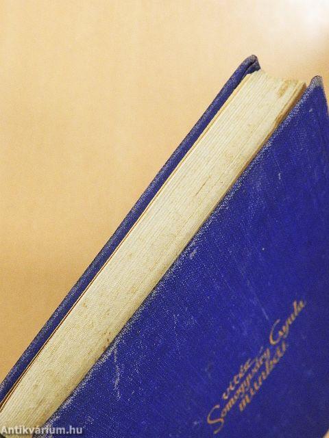 Virrasztó a ködben