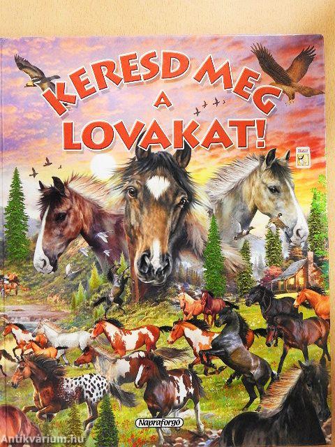 Keresd meg a lovakat!