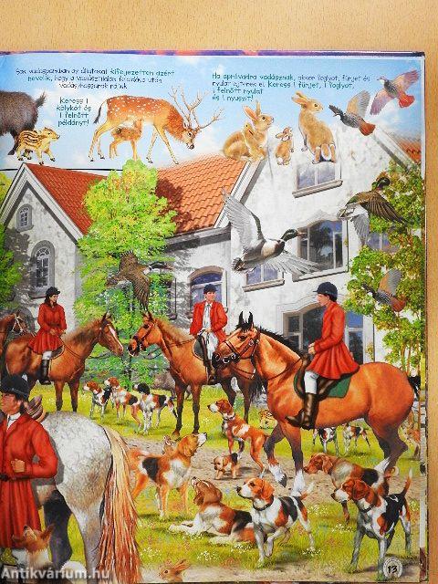 Keresd meg a lovakat!