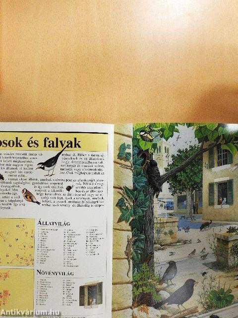 Sokszínű természetünk 1.