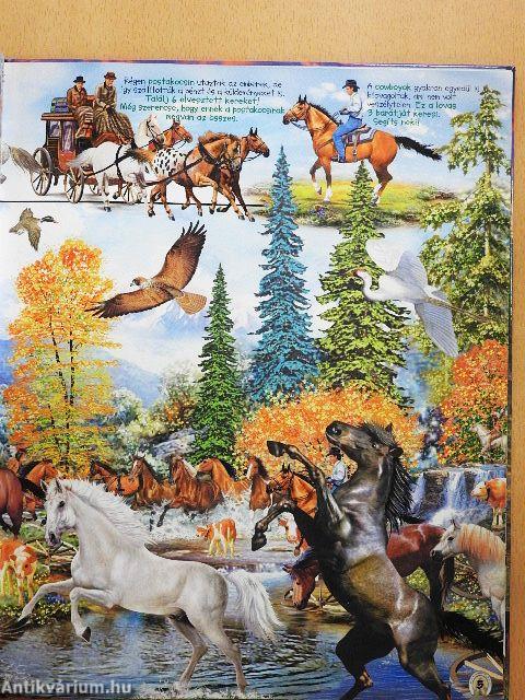 Keresd meg a lovakat!