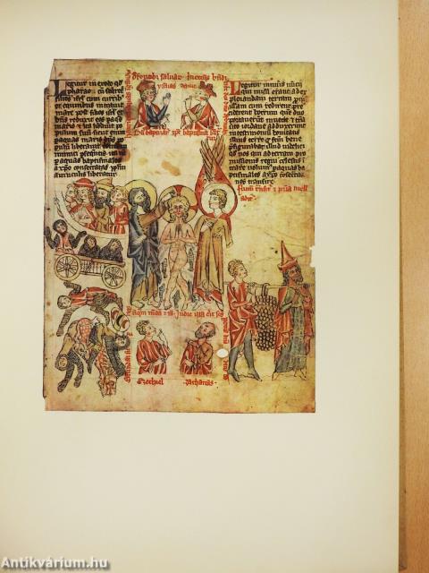 A rajzművészet mesterei