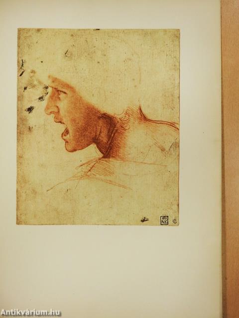 A rajzművészet mesterei