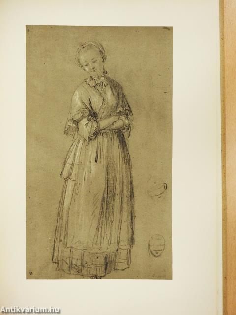 A rajzművészet mesterei