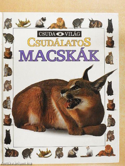 Csudálatos macskák