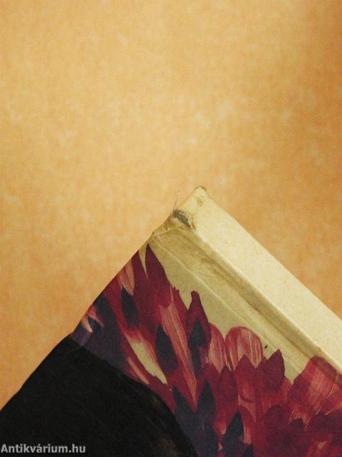 A megpatkolt boszorkány