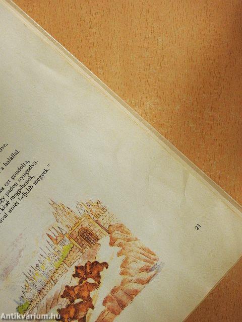 Anyukám képeskönyve