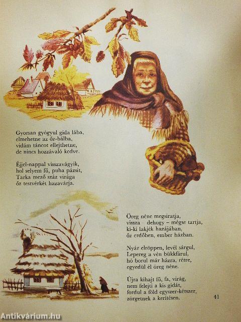 Anyukám képeskönyve