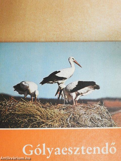 Gólyaesztendő