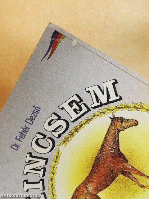 Kincsem, a csodakanca