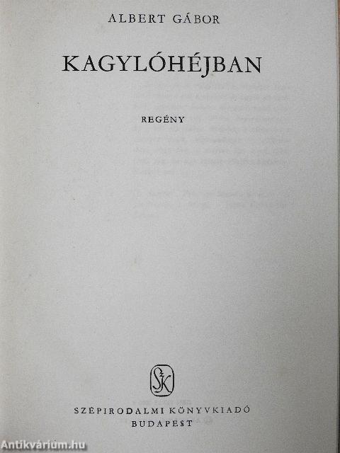 Kagylóhéjban