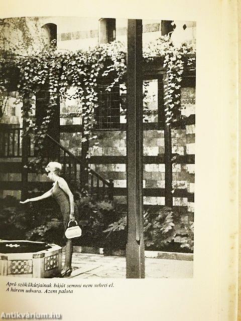 Legyen az egyik feleségem