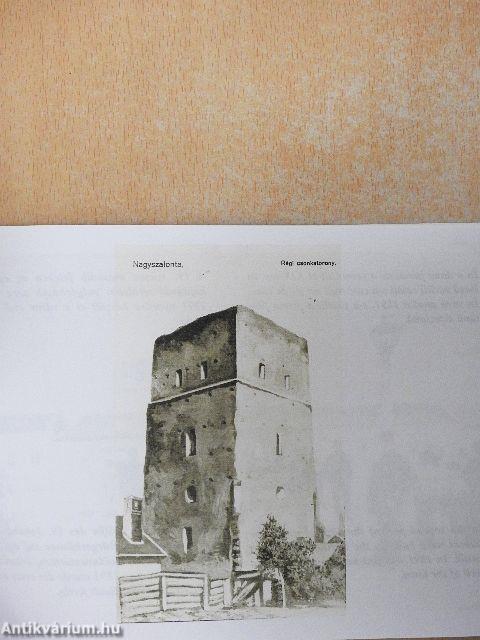 Nagyszalonta 101 képben