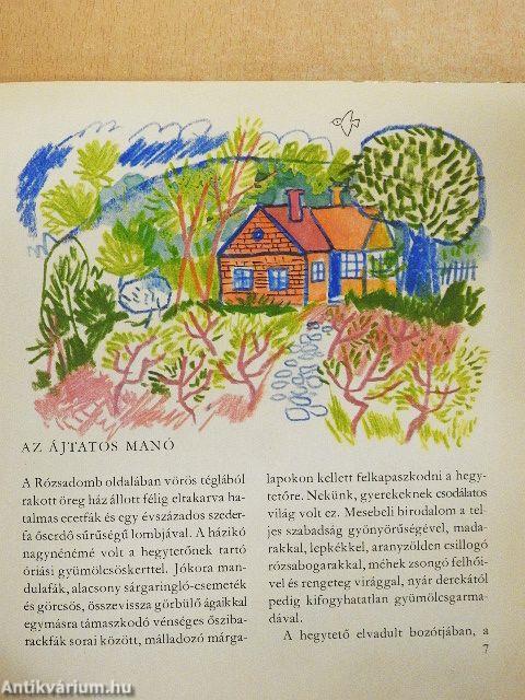 Pajtások a házban és a ház körül