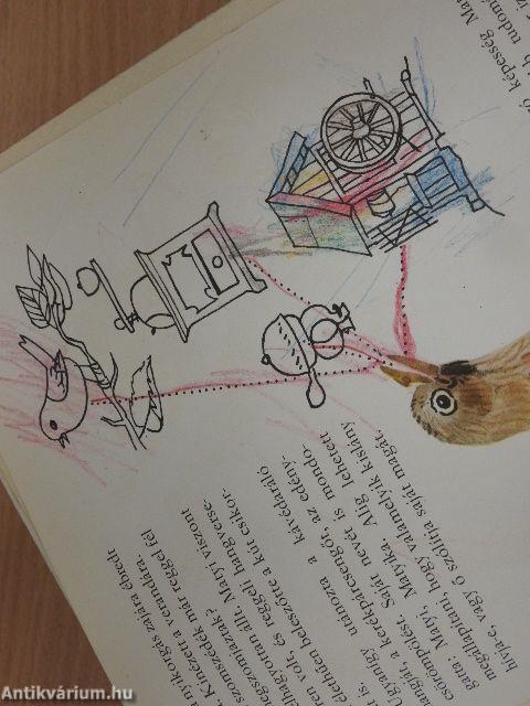 Pajtások a házban és a ház körül