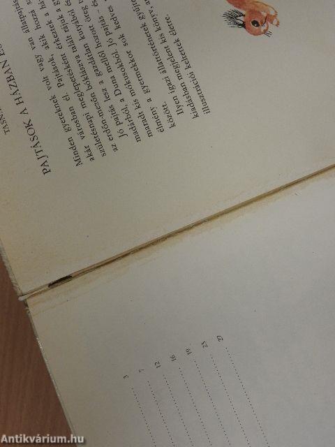 Pajtások a házban és a ház körül