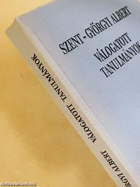 Válogatott tanulmányok