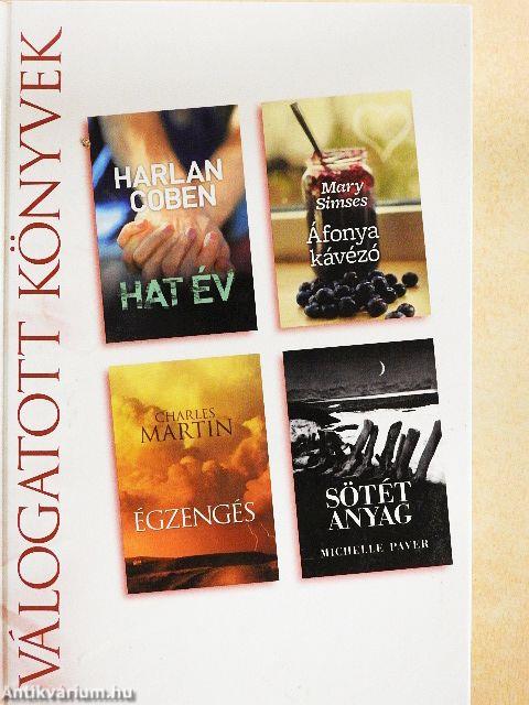 Hat év/Áfonya kávézó/Égzengés/Sötét anyag