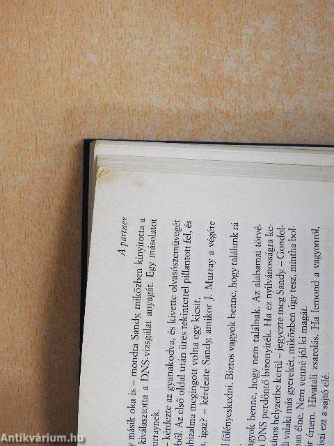 A partner/Ragadozó madarak/Lélekharang/Blaze