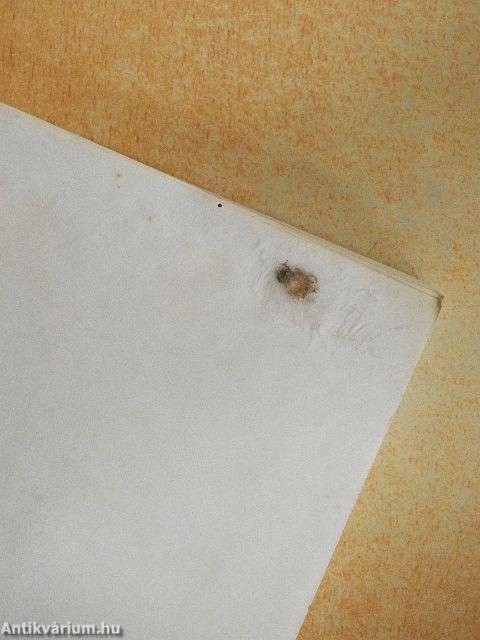 Századvégi mérleg